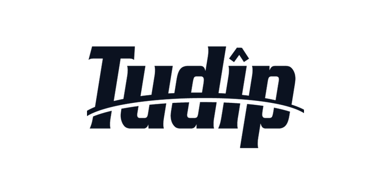 Tudip logo